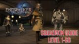 Final Fantasy XIV – Squadron Guide Level 1-60