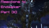FFXIV Endwalker Reactions Part 30: At the End of Everything
