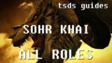 FFXIV Endwalker Sohr Khai Guide for All Roles