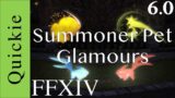 FFXIV Summoner Pet/Egi Glamours 6.0