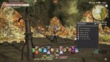 Final Fantasy 14 – IM A BASIC *LIVE*