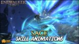 FFXIV: Endwalker – Sage Skill Animations