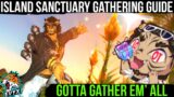 Island Sanctuary – WHERE TO GATHER ALL THE ITEMS [FFXIV 6.2]