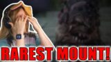 Zepla reads a Hilarious(ly sad) FFXIV Mount Grind story