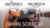 Cry In Sorrow (Zero's Domain Theme) – FFIV / FFXIV | Fingerstyle Guitar