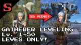 (FFXIV) Gatherer Leveling (Lv. 1-50) – LEVES ONLY