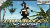 FFXIV – Island Mandragora Mount