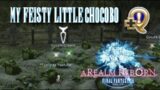 My Feisty Little Chocobo – Final Fantasy XIV – A Realm Reborn
