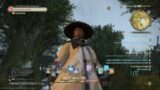Wu Wei uses Tactics to Defeat the Northern Vultures — FINAL FANTASY XIV