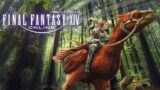 【Final Fantasy XIV】 First Time in Eorzea