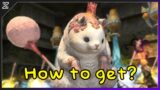 FFXIV Variant Dungeon path guideto to get the Mount | 12 Paths (Top comment is improved solutions)