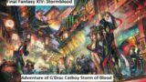 Final Fantasy XIV: Stormblood Dragoon Job Quests Catboy Makes Dragon Friends