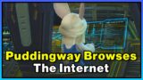 Puddingway Browses The Internet | FFXIV