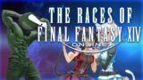 The Races of Final Fantasy XIV Explained by an Idiot