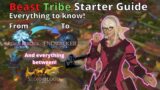 The how, what and why of Beast Tribes in FFXIV! Starter Guide covering A Realm Reborn to Endwalker!
