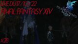 VOD #28 – Allons discuter avec les dragons – Final Fantasy XIV – 17/10/22