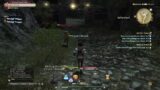 [Aether] (Gilgamesh) Time for Final Fantasy 14 journey
