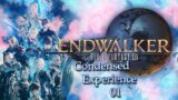 FFXIV EndWwalker 01 – A step at a time