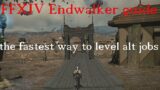 FFXIV Endwalker Best way to level your alt jobs