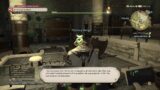 FINAL FANTASY 14 – SESSION 4 – w/WAKE OF DESTRUCTION, I STAY THE STREETLIGHT AND MORE