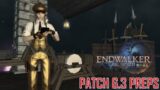 Final Fantasy XIV – Patch 6.3 Preps
