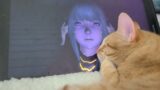 Finley cat reacts to Final Fantasy XIV patch 5.3 trailer