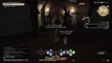 Final Fantasy 14 Ps5 Online Gameplay