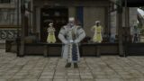 (6) Final Fantasy XIV – Leveling from 60 to 80 in the pharmacy for the winter for the hungover