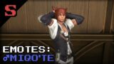 (FFXIV) Emotes: Male Miqo'te