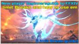 FFXIV New players beginnersguide What are limit Breaks? And how to use em