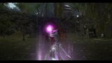 Final Fantasy 14 red mage catgirl playing with verthunder