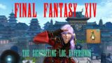 Final Fantasy XIV: The Sightseeing Log Experience