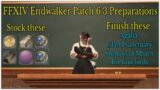 Final Fantasy XIV patch 6.3 General preparations
