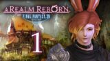 Starting in Gridania & Full Tutorial! ~Final Fantasy XIV: A Realm Reborn~ [1] *Only MSQ