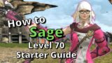 FFXIV 6.30+ Sage Level 70 Starter Guide: New to the job? Start here!