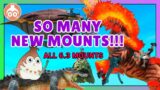 FFXIV | All New 6.3 Mounts and How to Get Them!