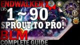 [FFXIV] Endwalker BLACK MAGE Complete Guide 1 thru 90