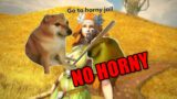 FFXIV Players are Too Horny Final Fantasy XIV Endwalker Patch 6.3 Nophica