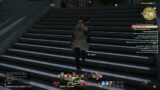 Final Fantasy XIV ARR #14