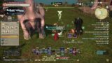 Final fantasy 14 red mage leveling