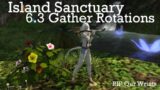 Gather Rotations for Island Sanctuary Materials for FFXIV Patch 6.3