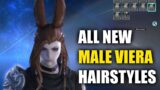FFXIV Endwalker ALL Male Viera Hairstyles