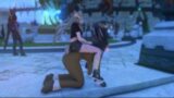 FFXIV – Ride Wife