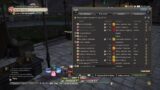 FFXIV Main Story and daily play livestream PS4