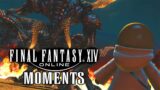 Final Fantasy 14 Online – Funny Moments