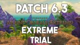 Final Fantasy XIV: Mount Ordeals Extreme Trial GNB POV