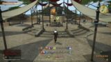 Final Fantasy XIV Online I Believe You Can Fly