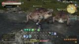 Final Fantasy XIV-Test