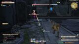 Final Fantasy XIV | A Realm Reborn | Hunting Log – Conjurer 46