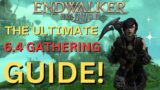 FFXIV PATCH 6.4 GATHERING GUIDE.